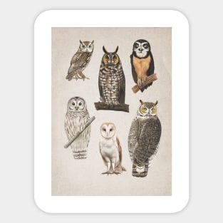 A Parliament Of Owls. Sticker